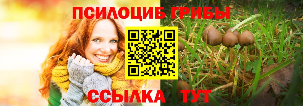 Галлюциногенные грибы Psilocybine cubensis Новочебоксарск